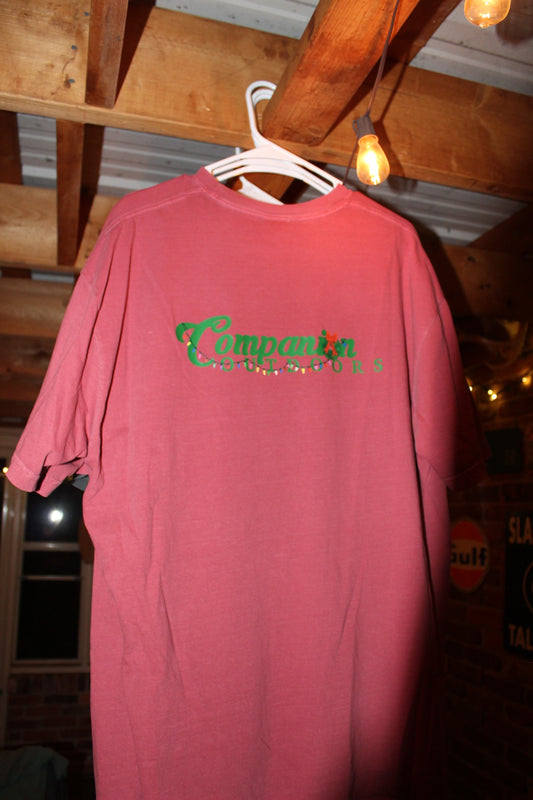 Companion Christmas T-Shirt